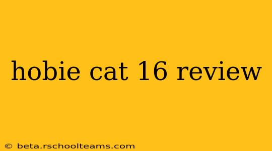 hobie cat 16 review