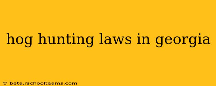 hog hunting laws in georgia