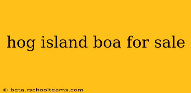 hog island boa for sale