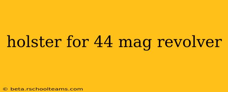 holster for 44 mag revolver