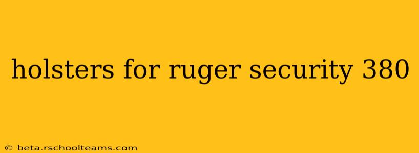 holsters for ruger security 380