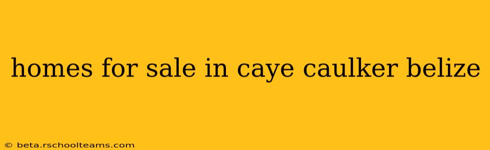 homes for sale in caye caulker belize