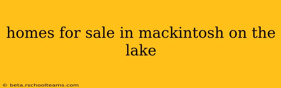 homes for sale in mackintosh on the lake