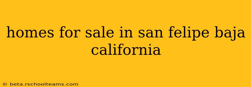 homes for sale in san felipe baja california