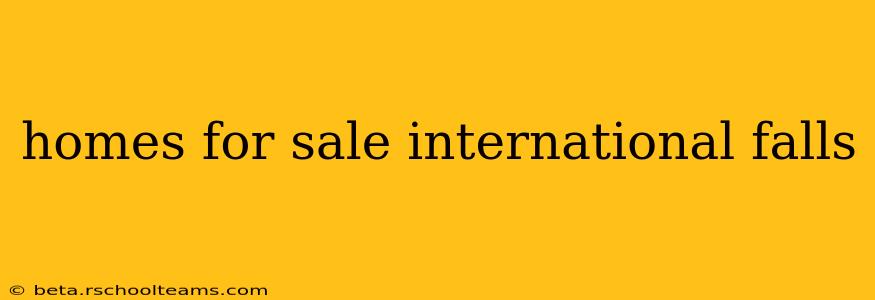 homes for sale international falls