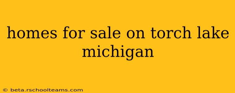 homes for sale on torch lake michigan