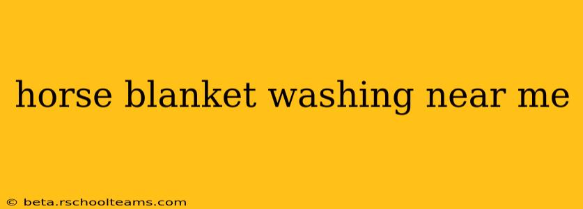 horse blanket washing near me