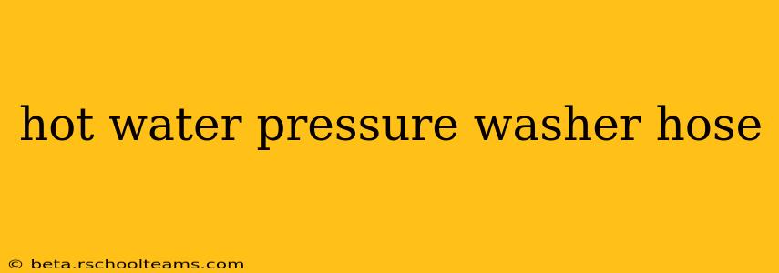 hot water pressure washer hose
