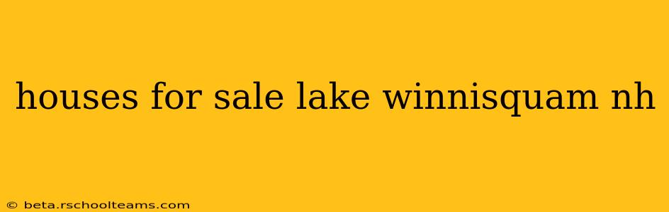 houses for sale lake winnisquam nh