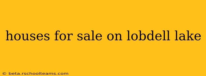houses for sale on lobdell lake