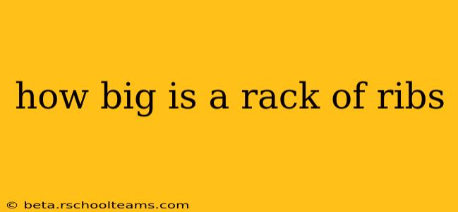 how big is a rack of ribs