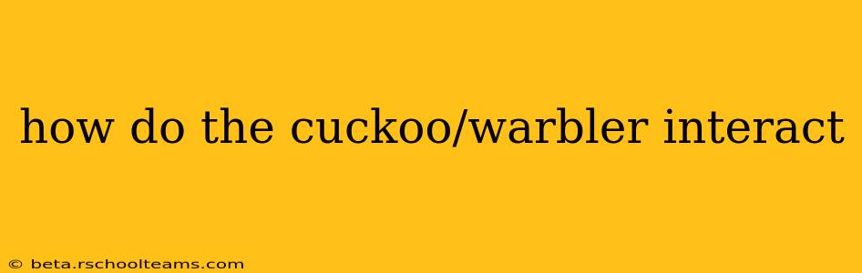 how do the cuckoo/warbler interact