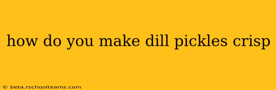 how do you make dill pickles crisp