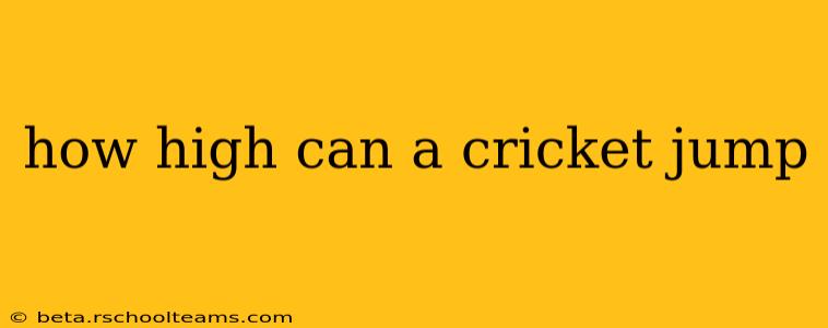how high can a cricket jump