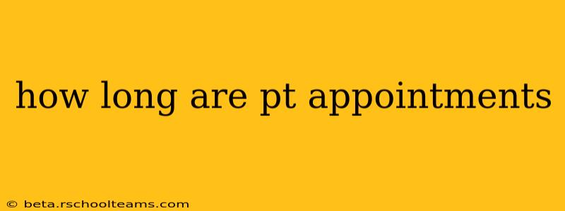 how long are pt appointments