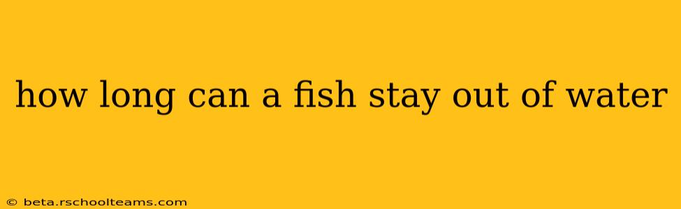 how long can a fish stay out of water