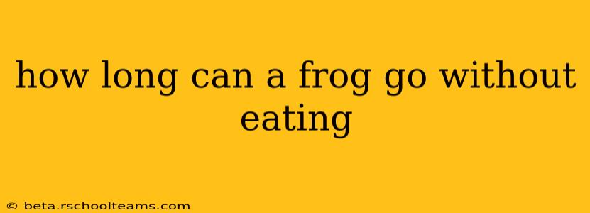 how long can a frog go without eating