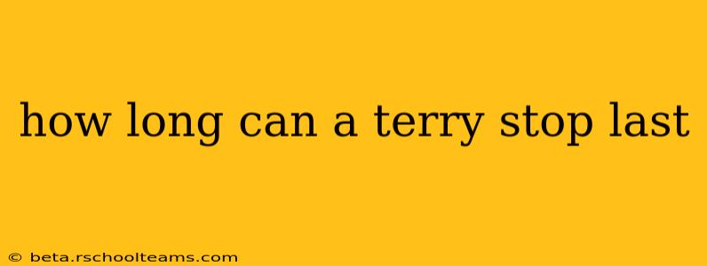 how long can a terry stop last