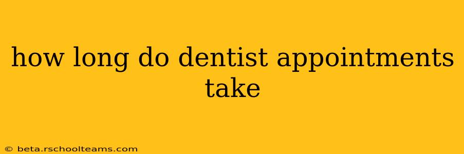 how long do dentist appointments take