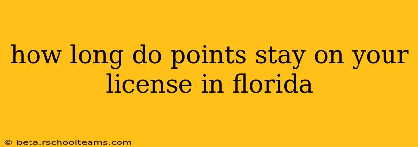 how long do points stay on your license in florida