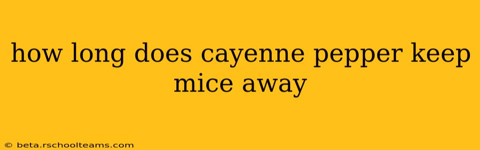 how long does cayenne pepper keep mice away