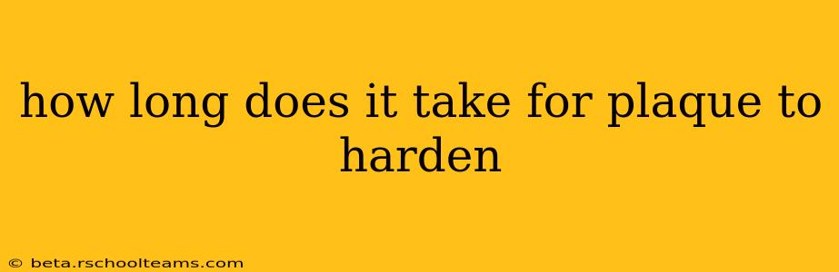 how long does it take for plaque to harden