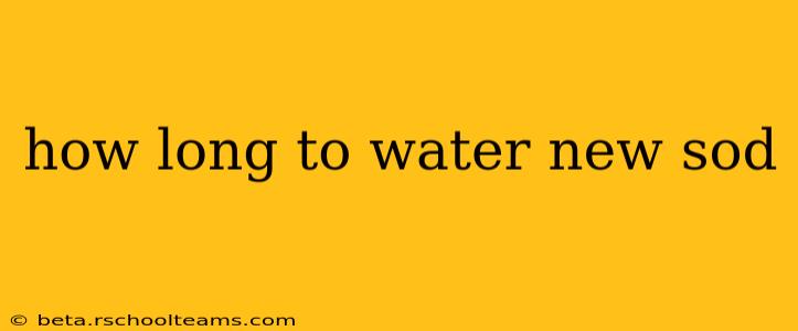 how long to water new sod