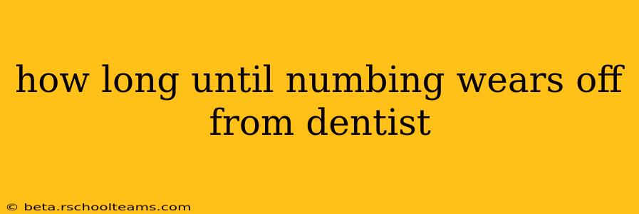 how long until numbing wears off from dentist
