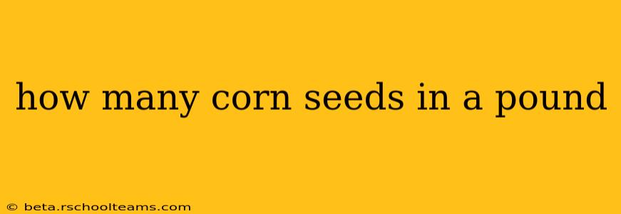 how many corn seeds in a pound