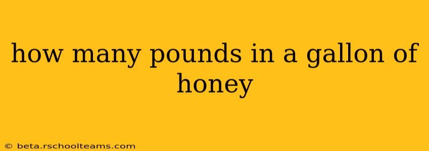 how many pounds in a gallon of honey