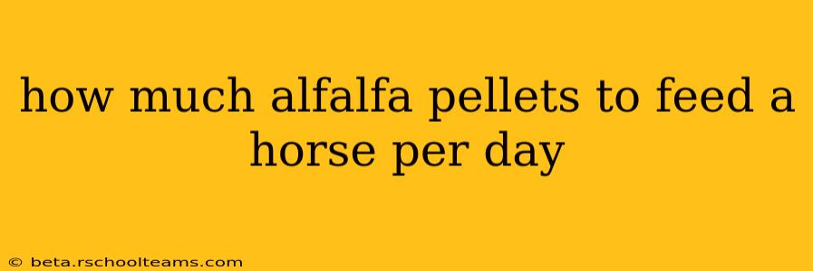 how much alfalfa pellets to feed a horse per day