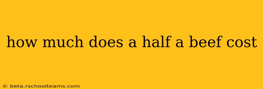 how much does a half a beef cost