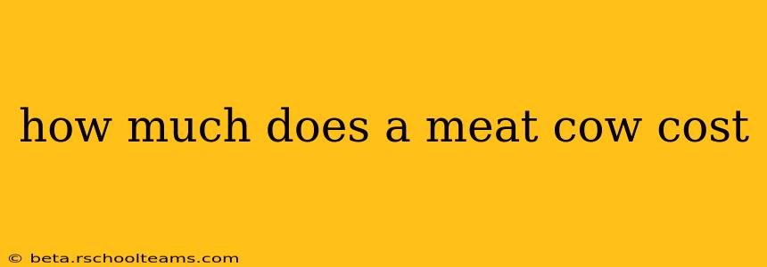 how much does a meat cow cost