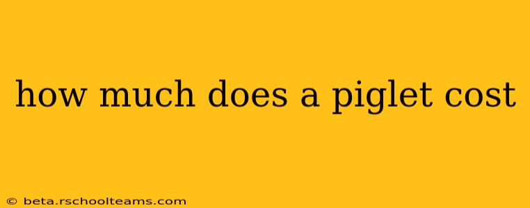 how much does a piglet cost