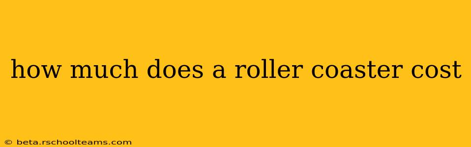 how much does a roller coaster cost
