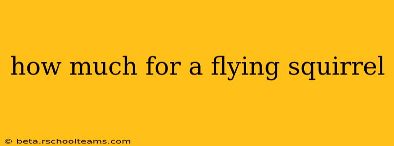 how much for a flying squirrel