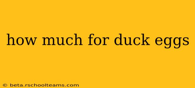 how much for duck eggs