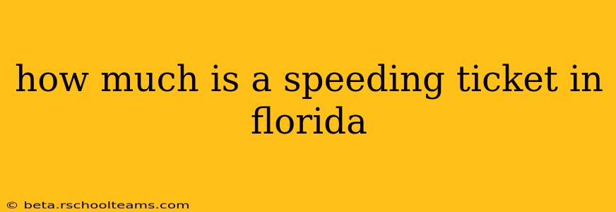 how much is a speeding ticket in florida