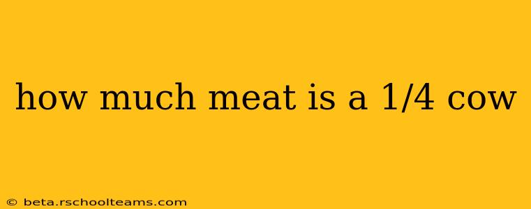 how much meat is a 1/4 cow