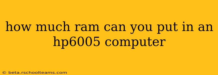 how much ram can you put in an hp6005 computer