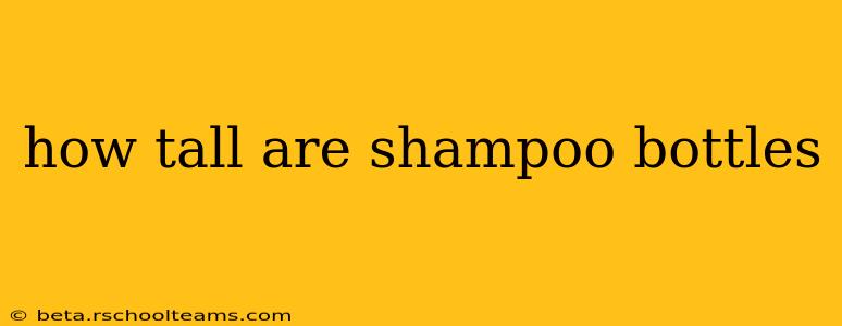 how tall are shampoo bottles