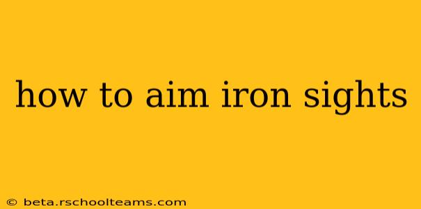 how to aim iron sights