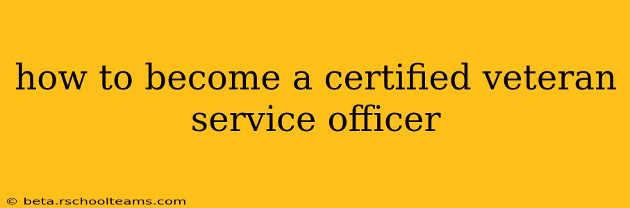 how to become a certified veteran service officer