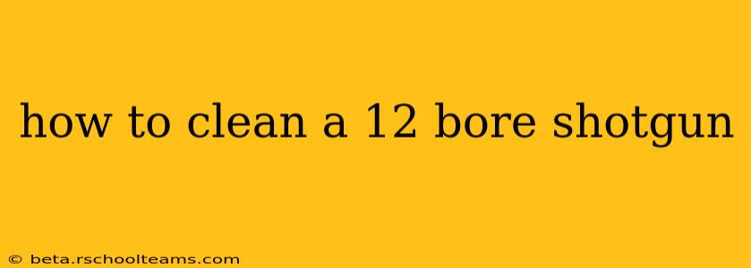 how to clean a 12 bore shotgun