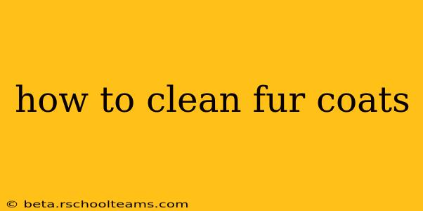 how to clean fur coats