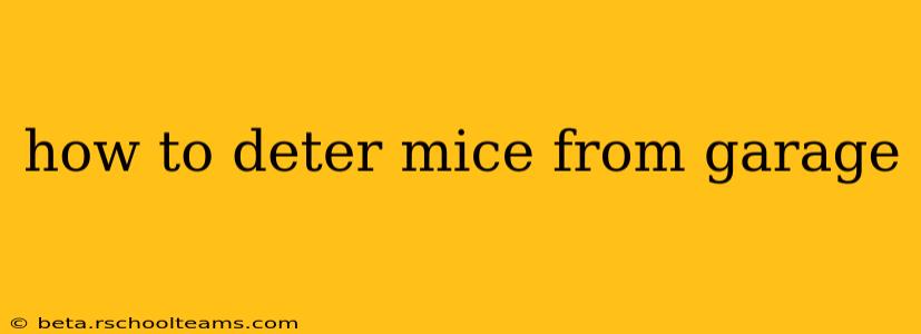 how to deter mice from garage