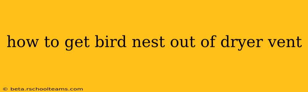 how to get bird nest out of dryer vent