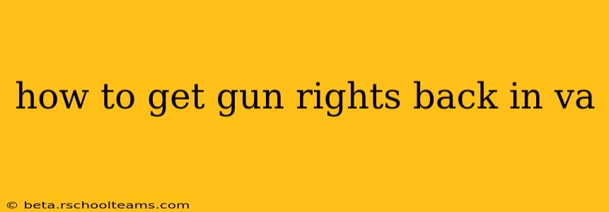 how to get gun rights back in va