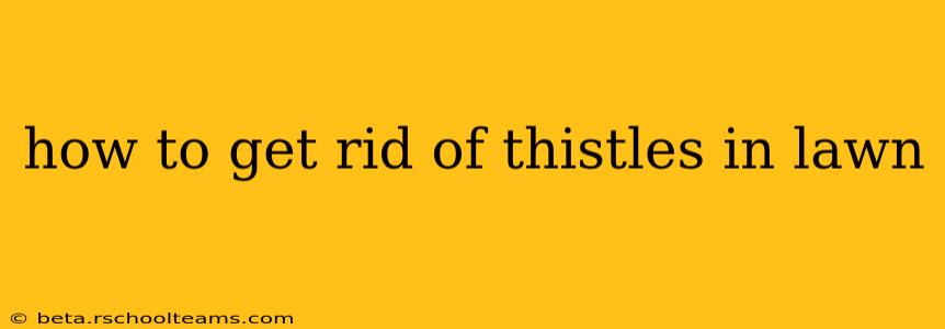 how to get rid of thistles in lawn