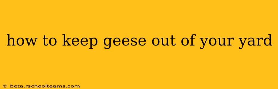 how to keep geese out of your yard